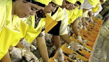 Maroc : les industriels marocains innovent Maroc : les industriels marocains innovent